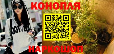 дурь Кингисепп
