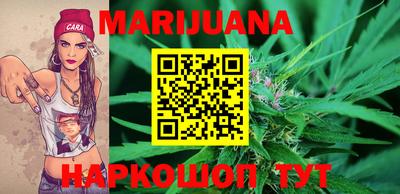 крисы Кулебаки