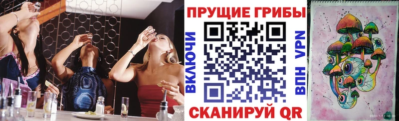 закладки  Новый Уренгой  Псилоцибиновые грибы Psilocybe 
