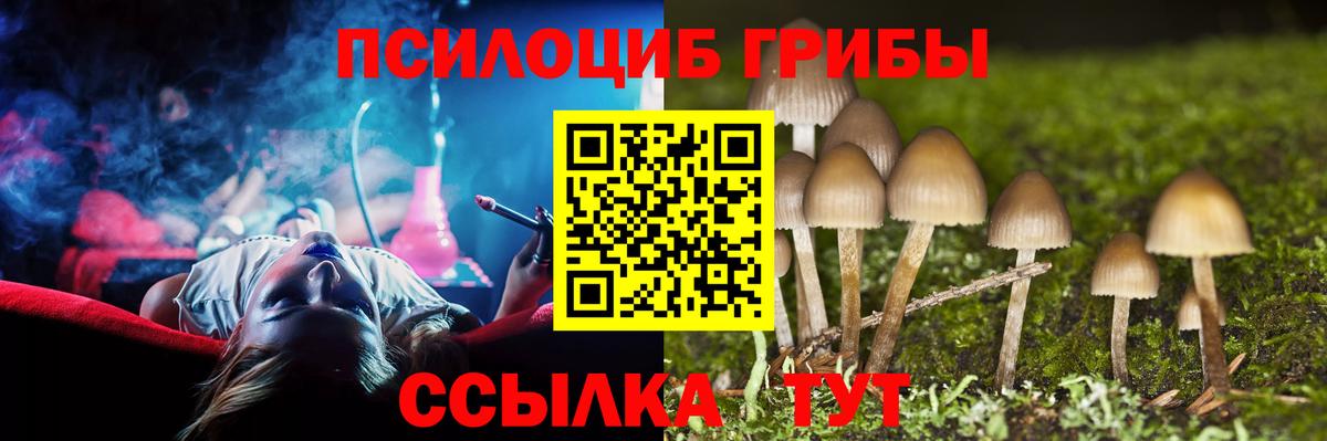 Галлюциногенные грибы Magic Shrooms Новый Уренгой